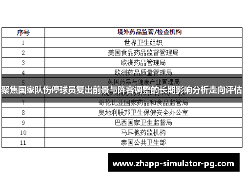 聚焦国家队伤停球员复出前景与阵容调整的长期影响分析走向评估